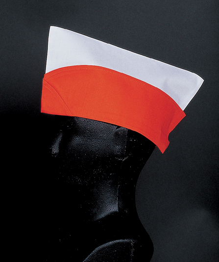 a7696b8435c65d81d8e047dfda331cdf_1461217