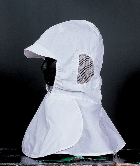 88c56e7a71b4570f7e868ca8fd484872_1470966