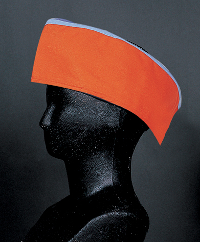 88c56e7a71b4570f7e868ca8fd484872_1470978